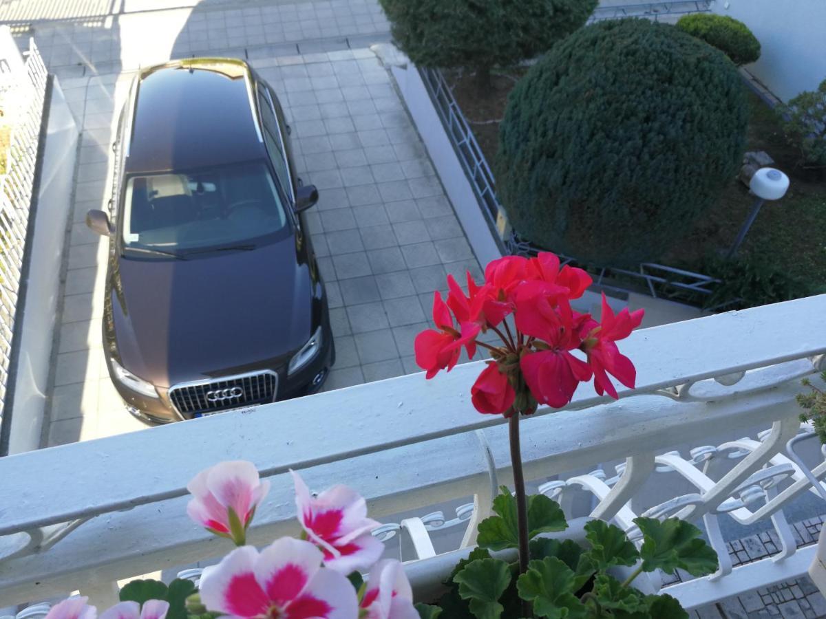 Apartmani Capi Golubac Eksteriør bilde